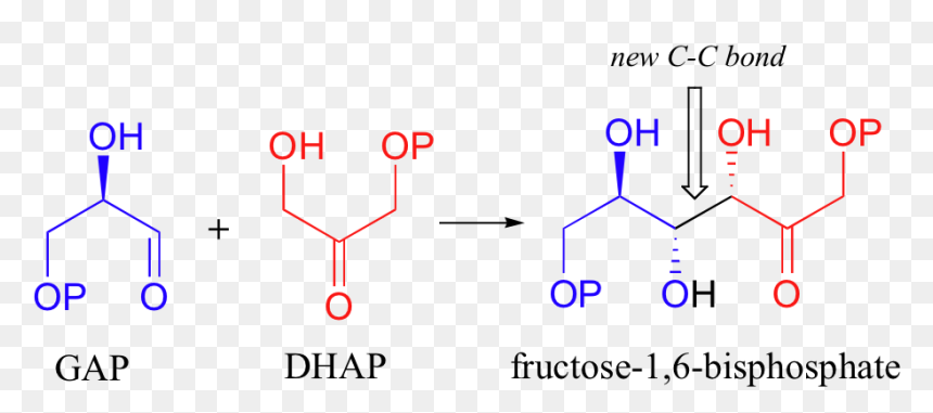 Image038 - Types Of Isomers, HD Png Download - condensation png