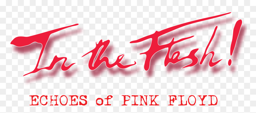 Neon Pink Floyd Transparent Logo, HD Png Download - pink floyd png