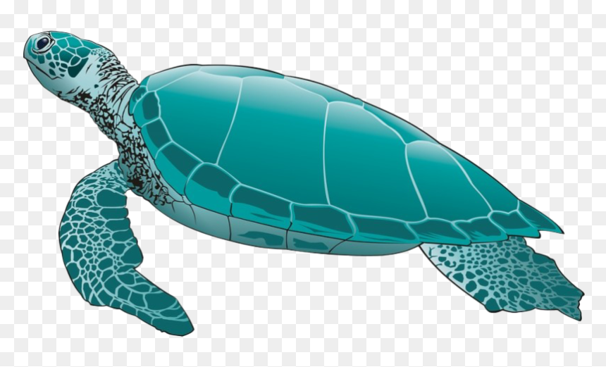Green Sea Turtles Png, Transparent Png - ridley png