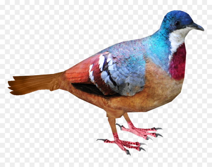 Mindanao Bleeding Heart , Png Download - Luzon Bleeding Heart Png, Transparent Png - bleeding heart png