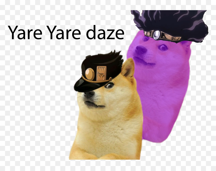 Korean Jindo Dog Png - You Are Beautiful Pass, Transparent Png - doge.png