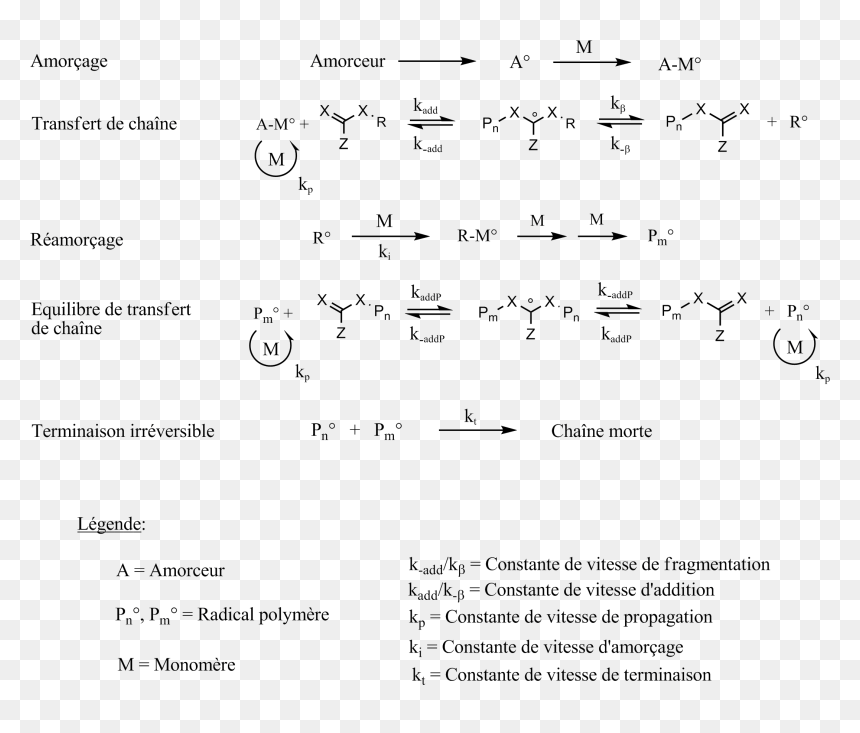 Mécanisme De Polymérisation De Type Raft - Mécanisme De Polymérisation, HD Png Download - raft png