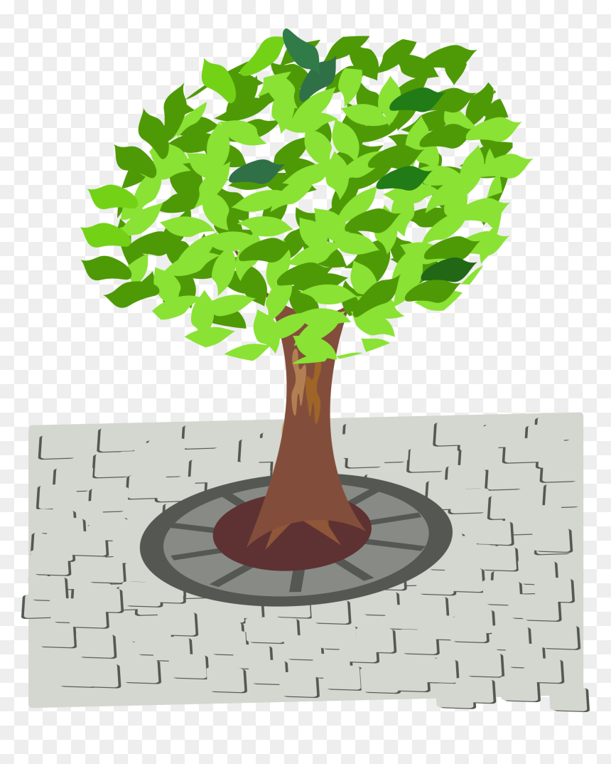 Transparent Tree Clip Art - Tree In Street Clipart, HD Png Download - tree clip art png