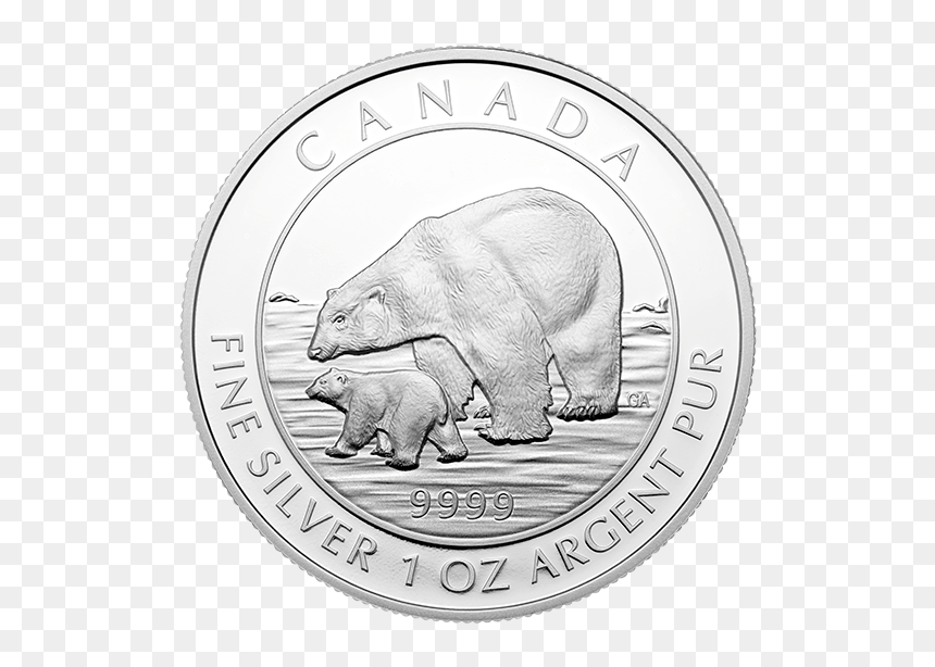 Grizzly Bear, HD Png Download - bear cub png