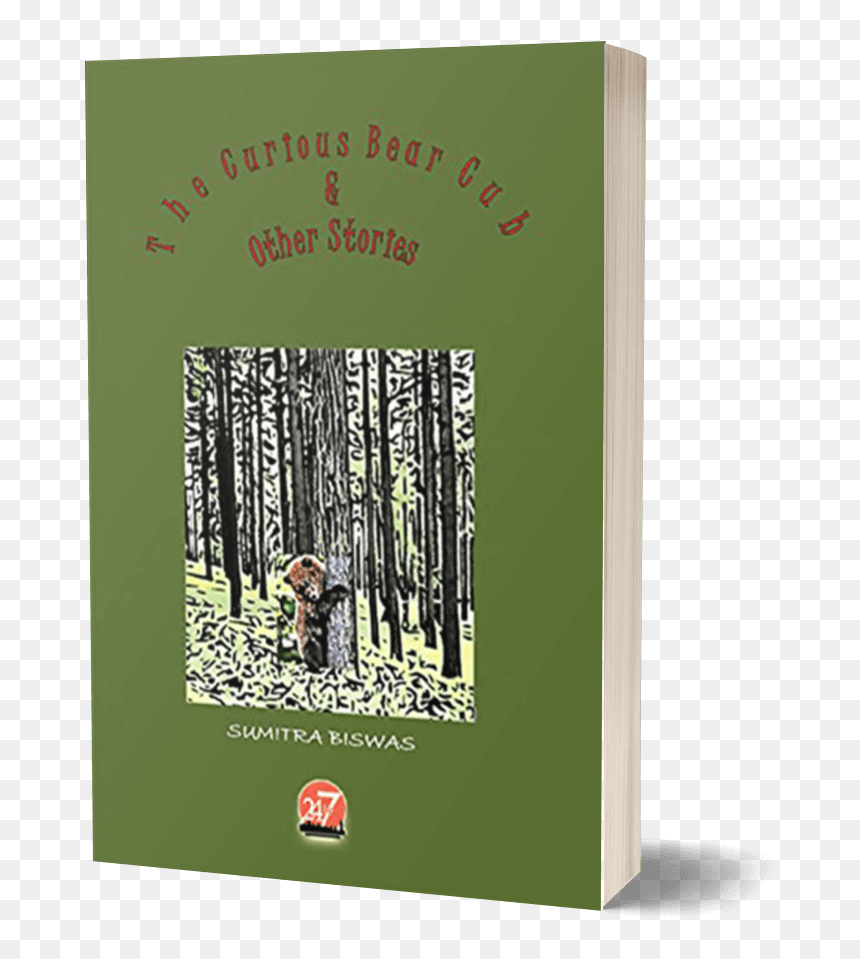 African Grey, HD Png Download - bear cub png