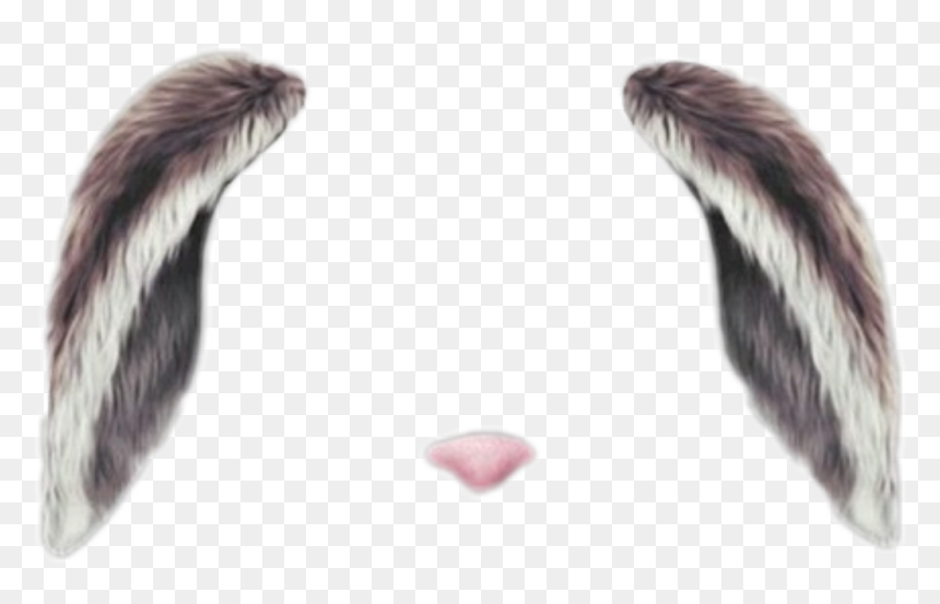 Snapchat, HD Png Download - bunny tail png