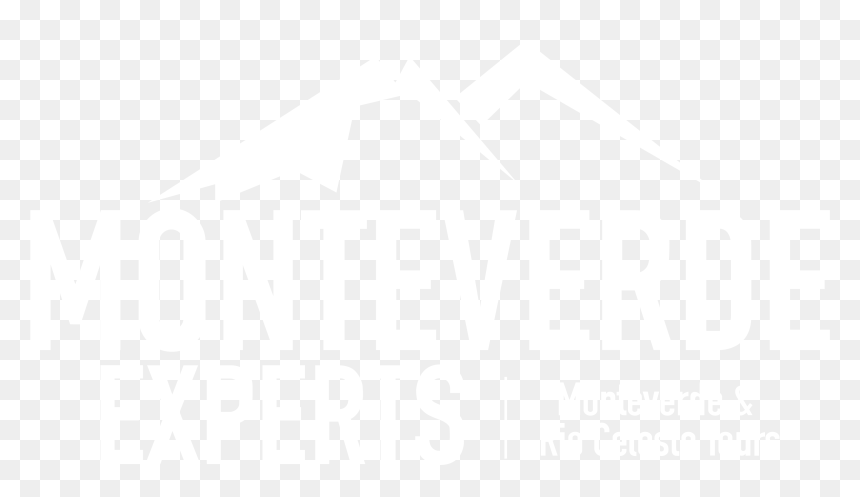 Mister Property, HD Png Download - humo negro png