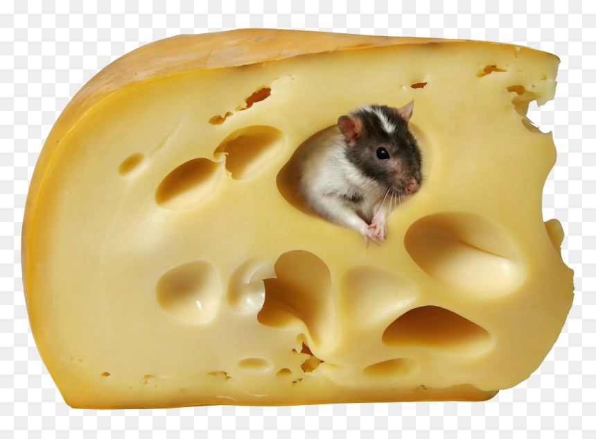 Cheese Clip Art, HD Png Download - cheddar png