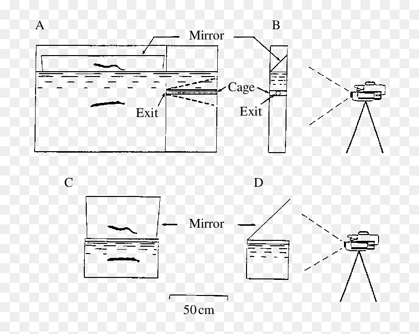 Diagram, HD Png Download - vertical divider png