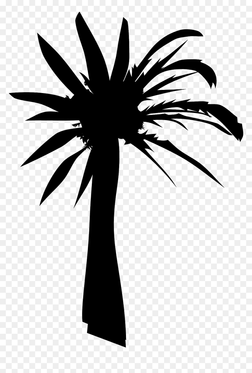Tree Silhouette Vector - Palm Tree Clip Art, HD Png Download - tree clip art png
