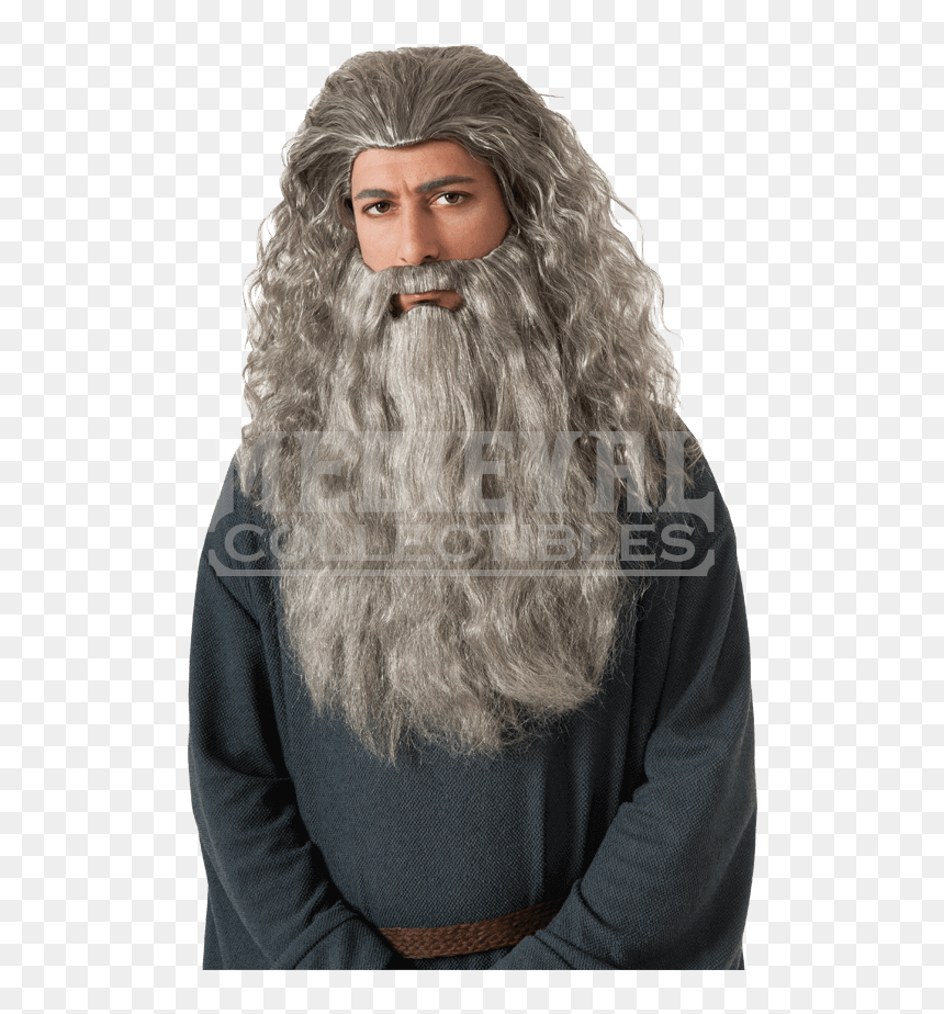 Adult Gandalf Wig And Beard - Gandalf Beard, HD Png Download - gandalf png