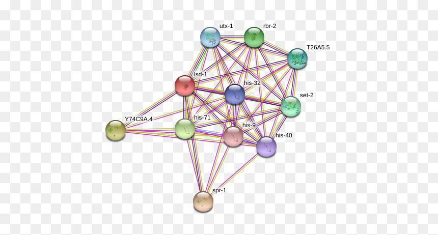 Lsd-1 Protein - Circle, HD Png Download - lsd png