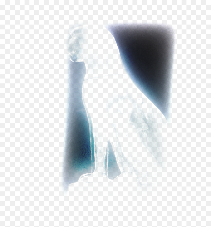 Pile Of Bones Png , Png Download - Penguin, Transparent Png - pile of bones png