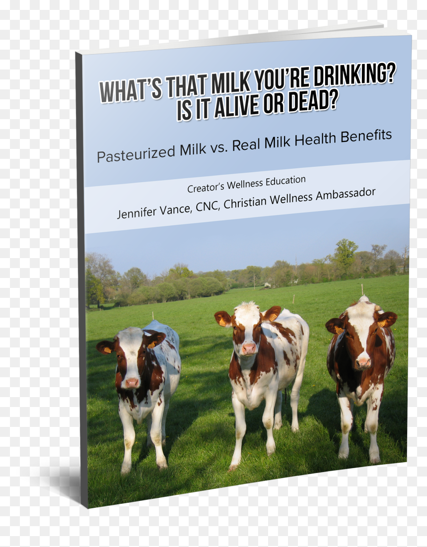Cows , Png Download - Cows, Transparent Png - cows png