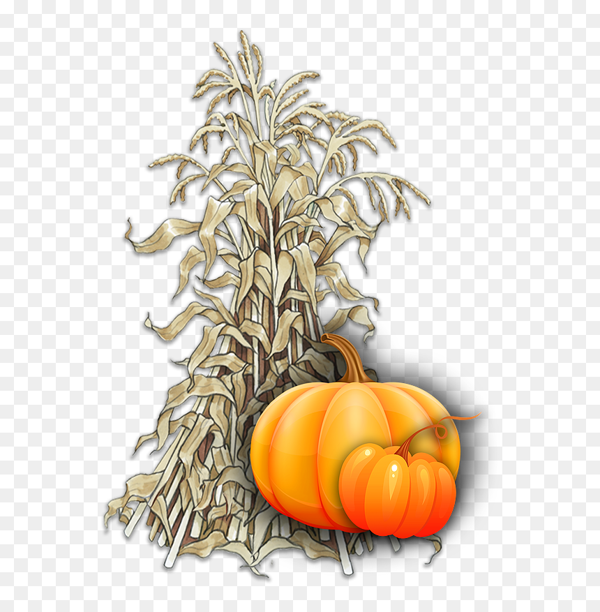 Pumpkin , Png Download - Pumpkin, Transparent Png - pumkin png