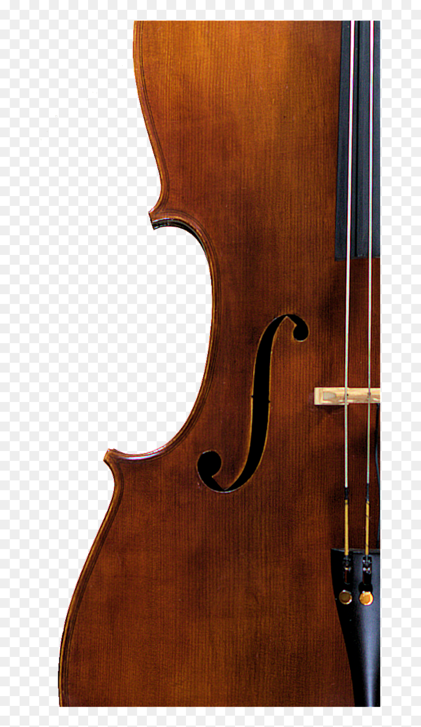 Cello Fhole - Viola, HD Png Download - cello png