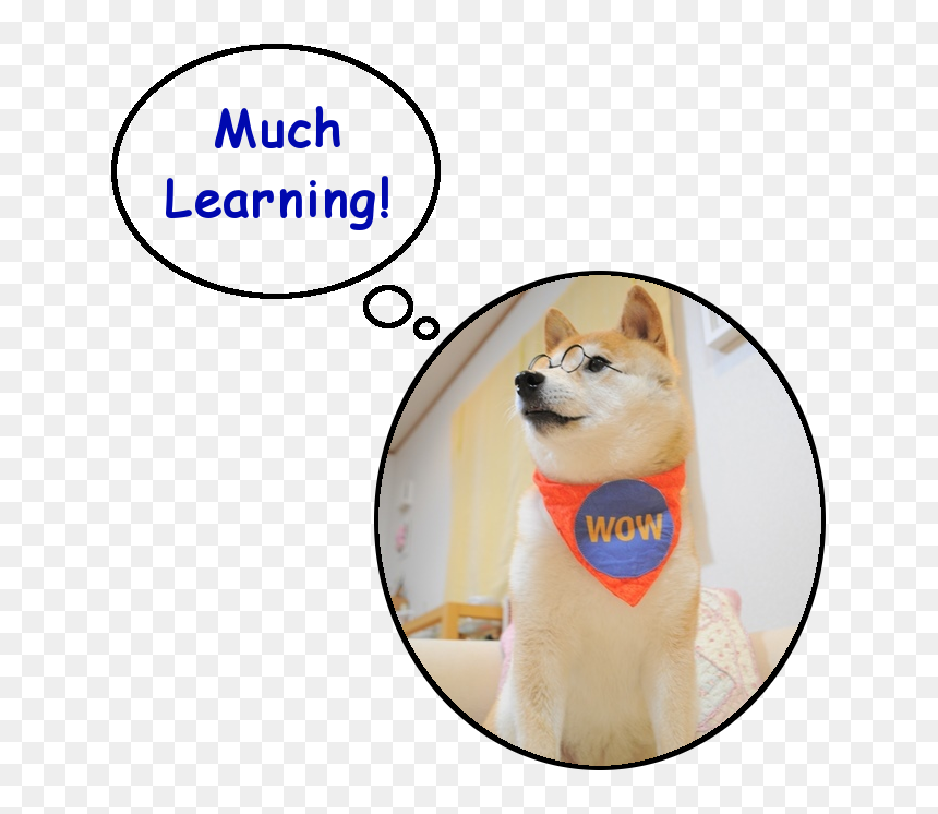 Learning , Png Download - Shiba Inu, Transparent Png - doge.png