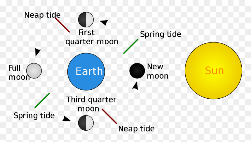 Diagram Tides, HD Png Download - tide png