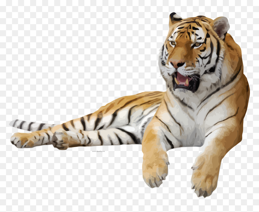 Transparent Background Tiger Png, Png Download - tigger png