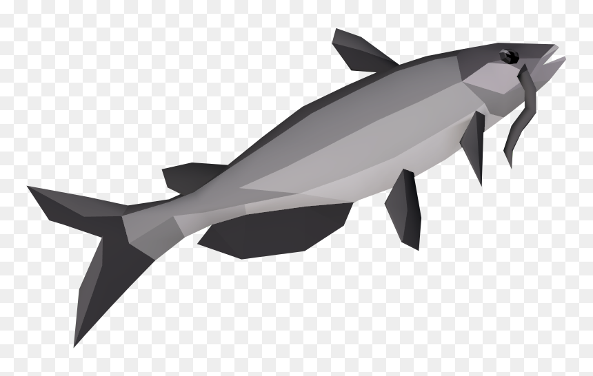 The Runescape Wiki - Runescape Catfish, HD Png Download - catfish png