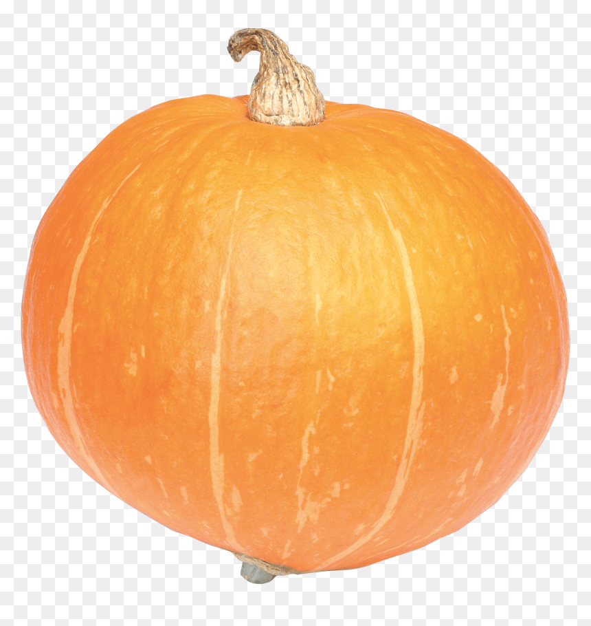 Large Pumpkin - Calabaza Png Transparente, Png Download - pumkin png
