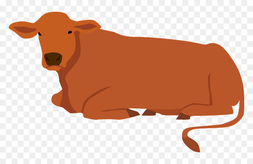 Cow Clipart - Bull, HD Png Download - cows png