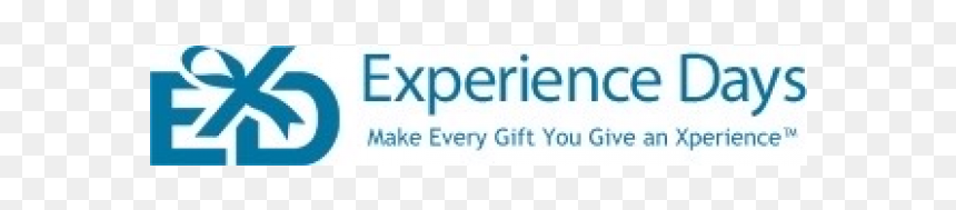 Internet Explorer 8, HD Png Download - raffle png