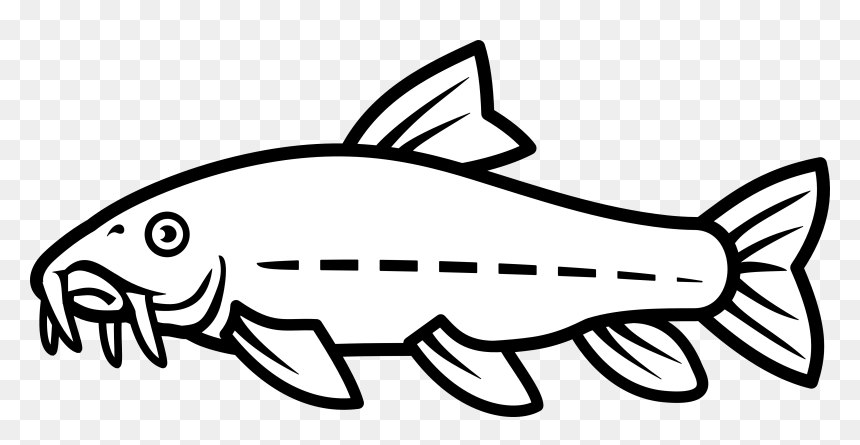 Catfish Vector By Nico - Hito Black And White, HD Png Download - catfish png