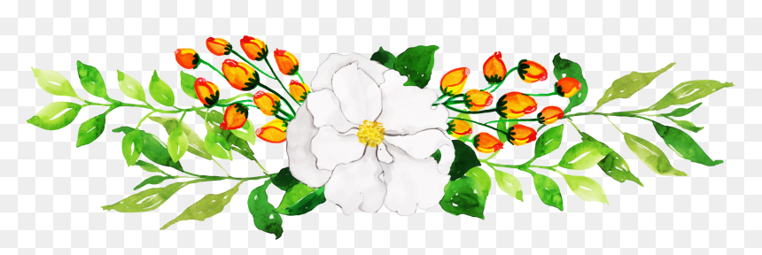 Camellia Sasanqua, HD Png Download - floral clipart png