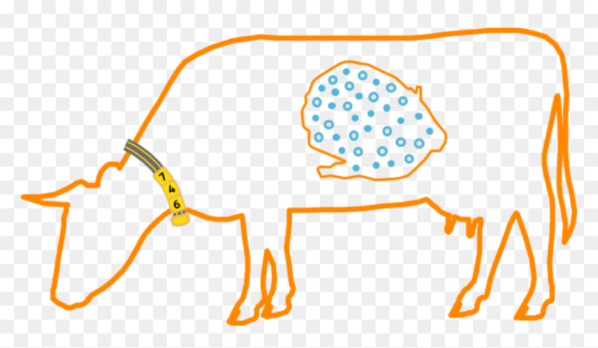 Nedap Smarttag Neck - Rumen Png, Transparent Png - cows png
