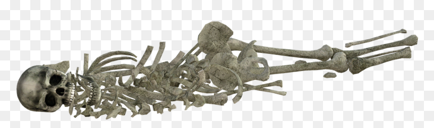 Wood, HD Png Download - pile of bones png