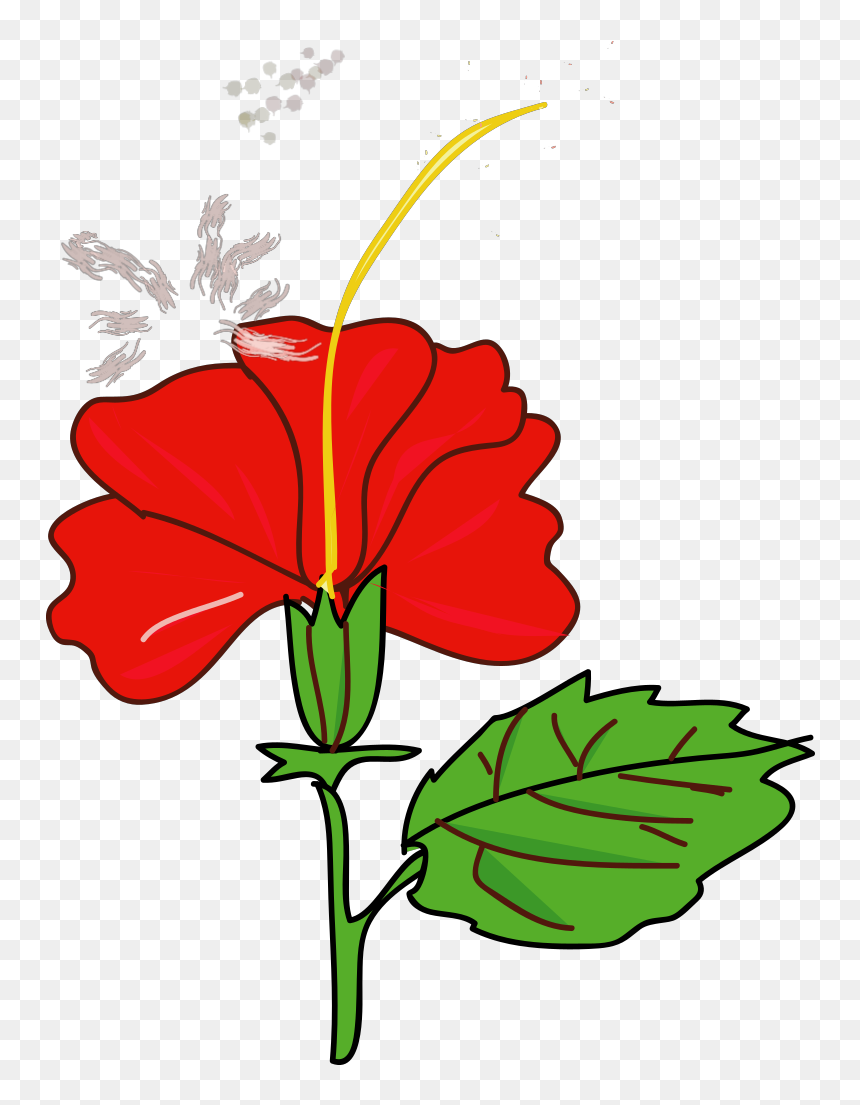 Gumamela Clipart Black And White, HD Png Download - floral clipart png