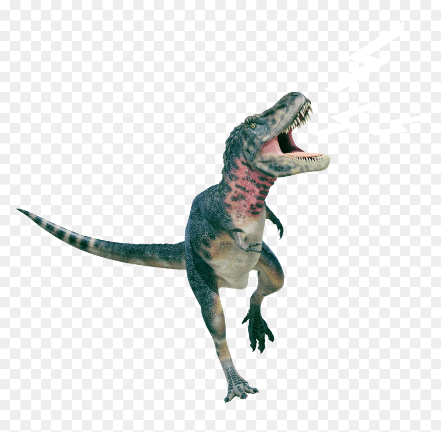 T Rex Do We Know Each Other Natural History Museum - Historische Museum Bern Dinosaurier, HD Png Download - t-rex png