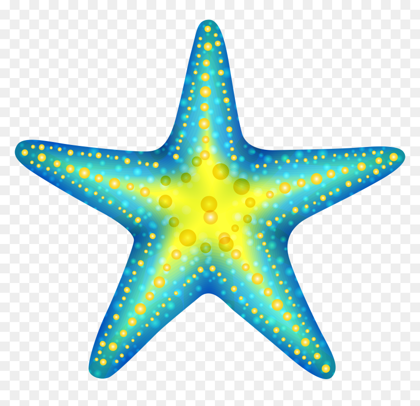Starfish Png - Transparent Background Starfish Clipart, Png Download - star fish png