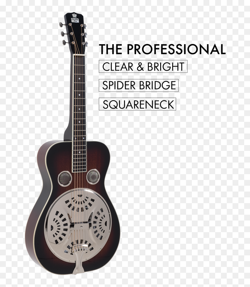 Rr-60 - Recording King Rr-60-vs Professional Resonator Squareneck, HD Png Download - instruments png