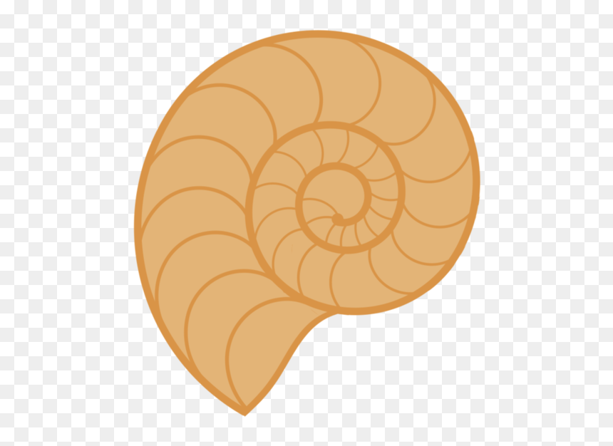 Thumb Image - Chambered Nautilus, HD Png Download - shells png
