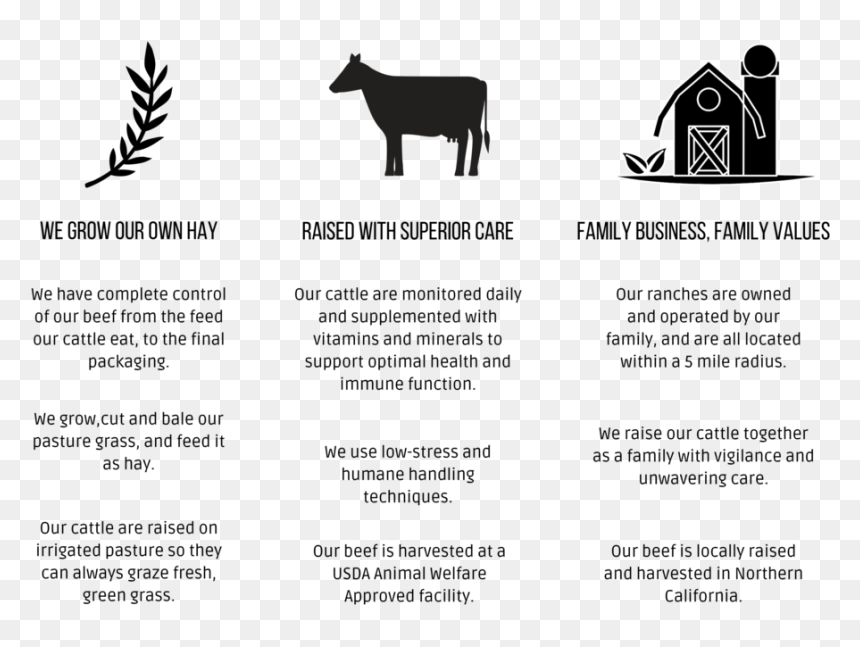 Why Five Mile Beef - Cattle, HD Png Download - beef png