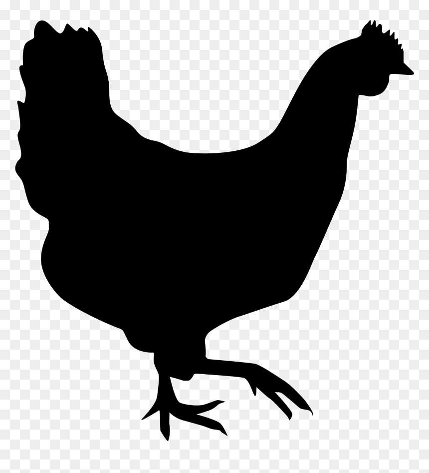 Rooster Chicken Silhouette Drawing - Transparent Background Chicken Silhouette, HD Png Download - chicken.png