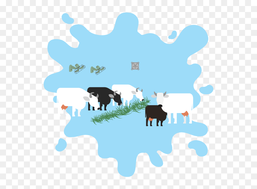 Transparent Dairy Cow Png, Png Download - cows png