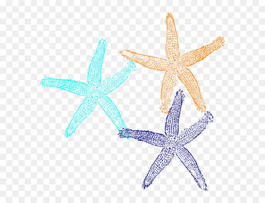 Clip Art At Clker - Fish Clip Art, HD Png Download - star fish png