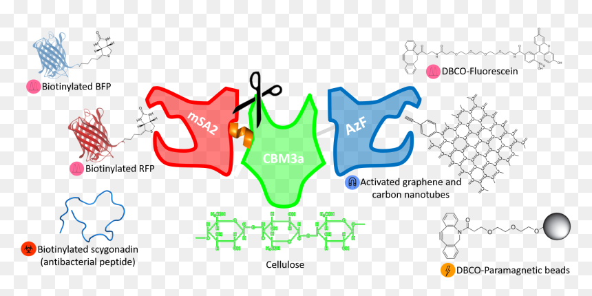 Diagram, HD Png Download - cerberus png