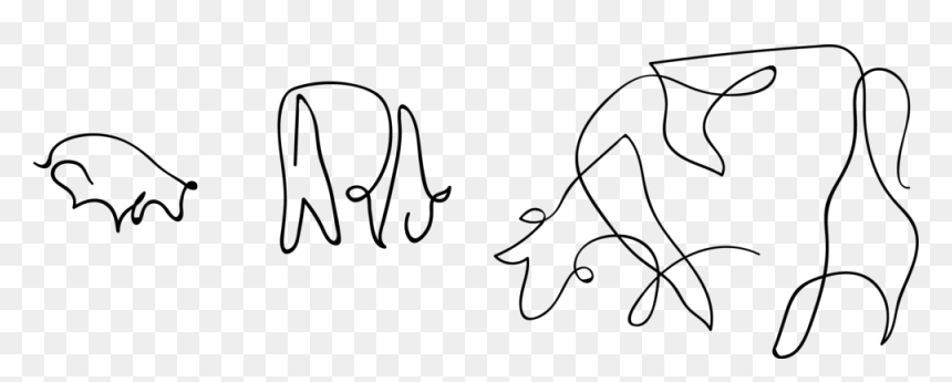 Cows - Line Art, HD Png Download - cows png