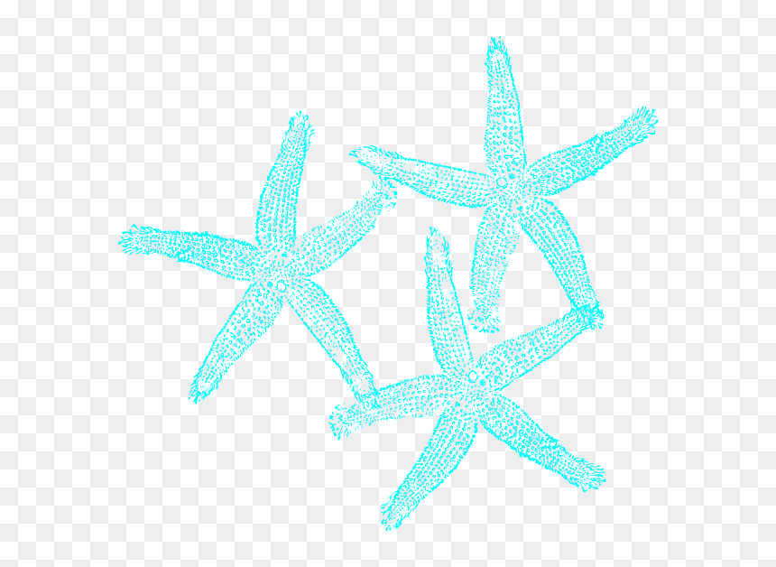 Turquoise Starfish Clipart - Turquoise Coral Clipart, HD Png Download - star fish png