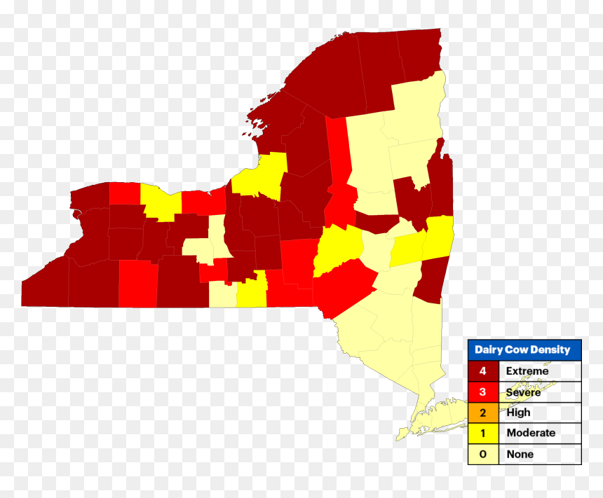 Map Of New York, HD Png Download - cows png
