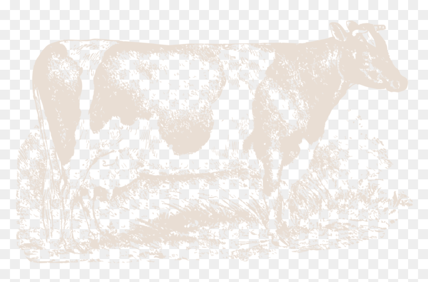 Farmingpagecow-19 - Dairy Cow, HD Png Download - cows png