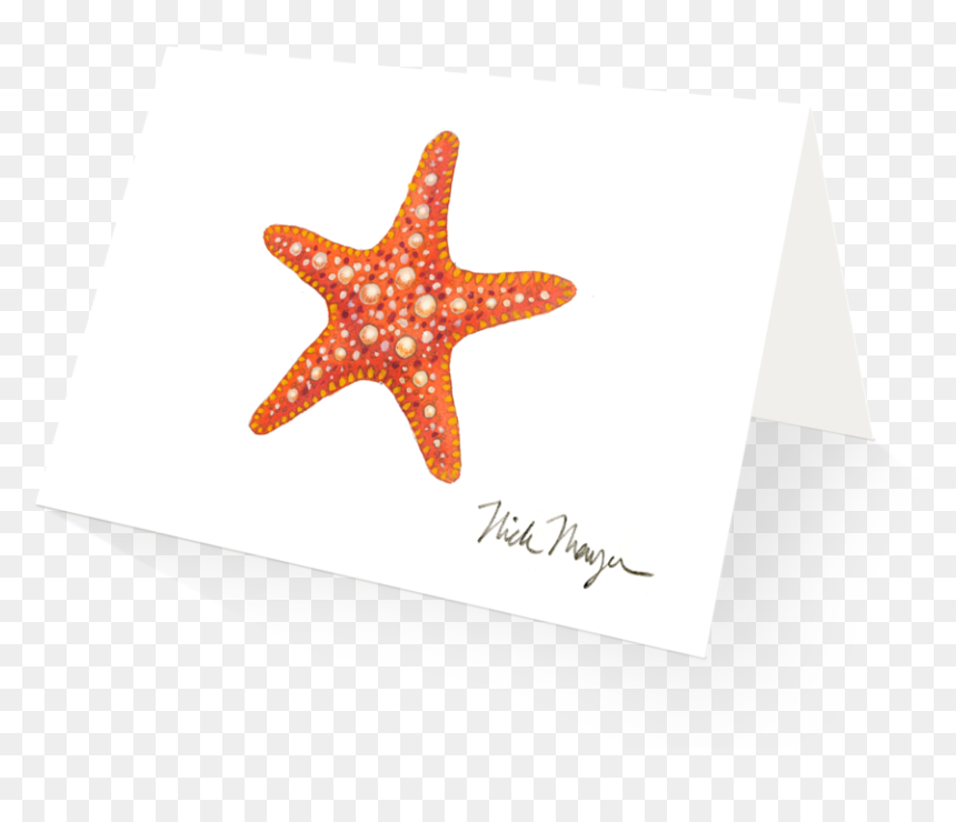 Sea Star Png Starfish- - Starfish, Transparent Png - star fish png
