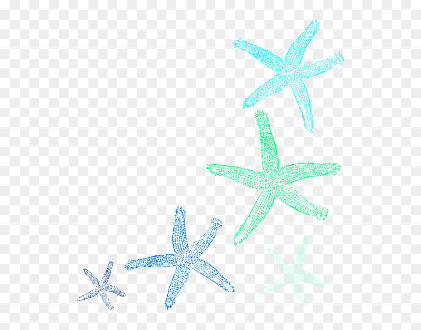 Starfish Prints Clip Art At Clker - Clip Art, HD Png Download - star fish png