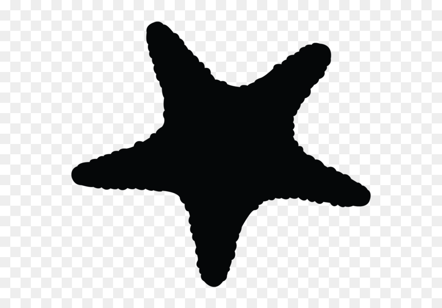 Starfish - Hereford Courtyard Logo, HD Png Download - star fish png
