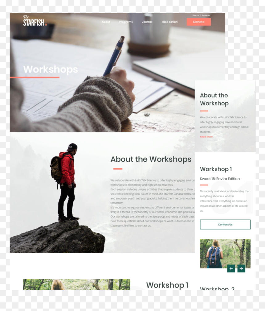 Work - Brochure, HD Png Download - star fish png