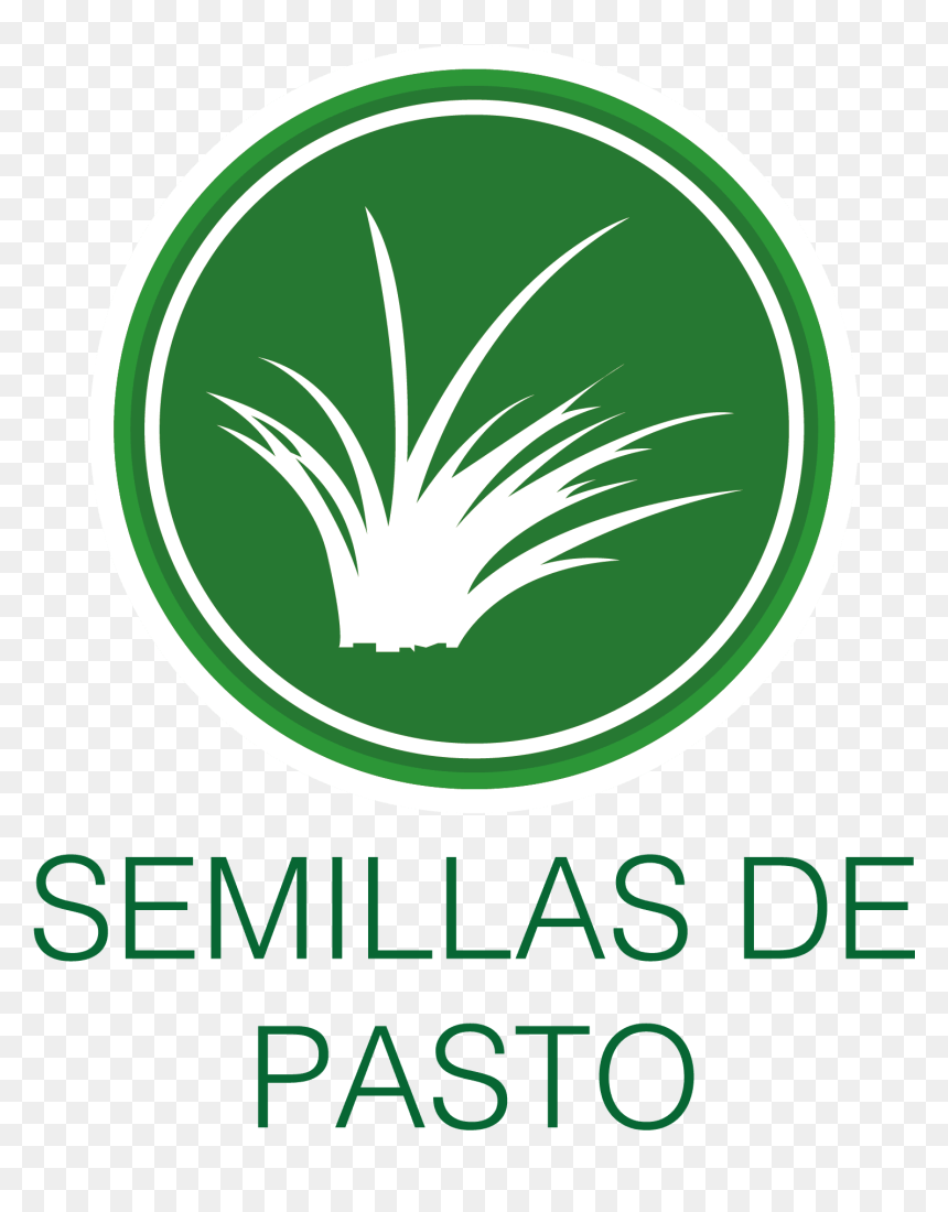 Pasto Png , Png Download - Saab, Transparent Png - pasto png